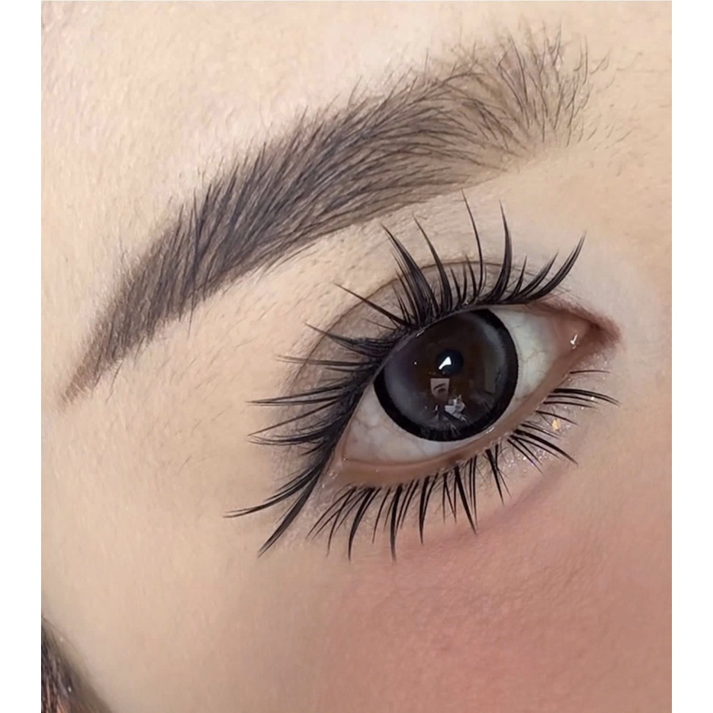 LeeVelvetLashes MUSE X94-MI GIẢ MUSE-mi giả dạng cụm cao cấp