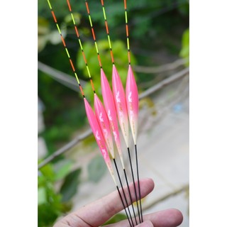 [Mua 3 Tính 2] Phao Câu Đài Hồng Ngư Phao Nano NS Chuyên Câu Cá Diếc Cá Rô Cá Chép 1.2g - 2.5g
