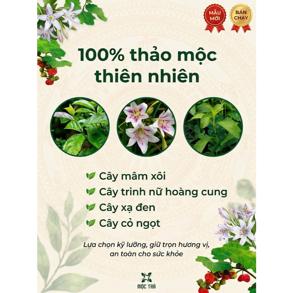Trà Lá Mâm Xôi Khô Túi Lọc 35 Gói – Trà Thảo Dược Tự Nhiên, Tiện Lợi, Dễ Pha