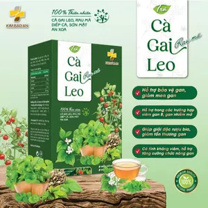 Hộp Trà Cà Gai Leo Giữ Trọn Dưỡng Chất Tự Nhiên