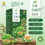 Hộp Trà Cà Gai Leo Giữ Trọn Dưỡng Chất Tự Nhiên