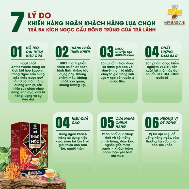 Hộp Trà Thảo Mộc Gồm Các Thành Phần (Ba Kích, Sâm Cau, Nấm Đông Trùng và Nấm Ngọc Cẩu)- Nước Trà Tea Chè Tự Nhiên