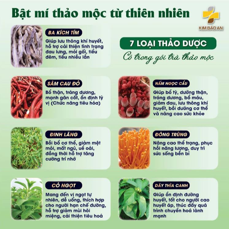 Hộp Trà Thảo Mộc Gồm Các Thành Phần (Ba Kích, Sâm Cau, Nấm Đông Trùng và Nấm Ngọc Cẩu)- Nước Trà Tea Chè Tự Nhiên