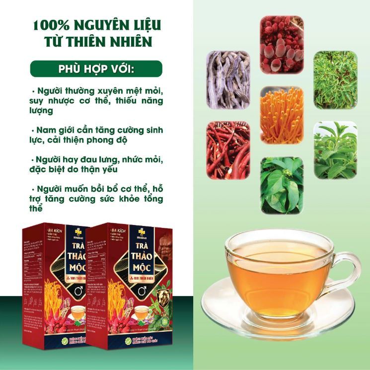 Hộp Trà Thảo Mộc Gồm Các Thành Phần (Ba Kích, Sâm Cau, Nấm Đông Trùng và Nấm Ngọc Cẩu)- Nước Trà Tea Chè Tự Nhiên