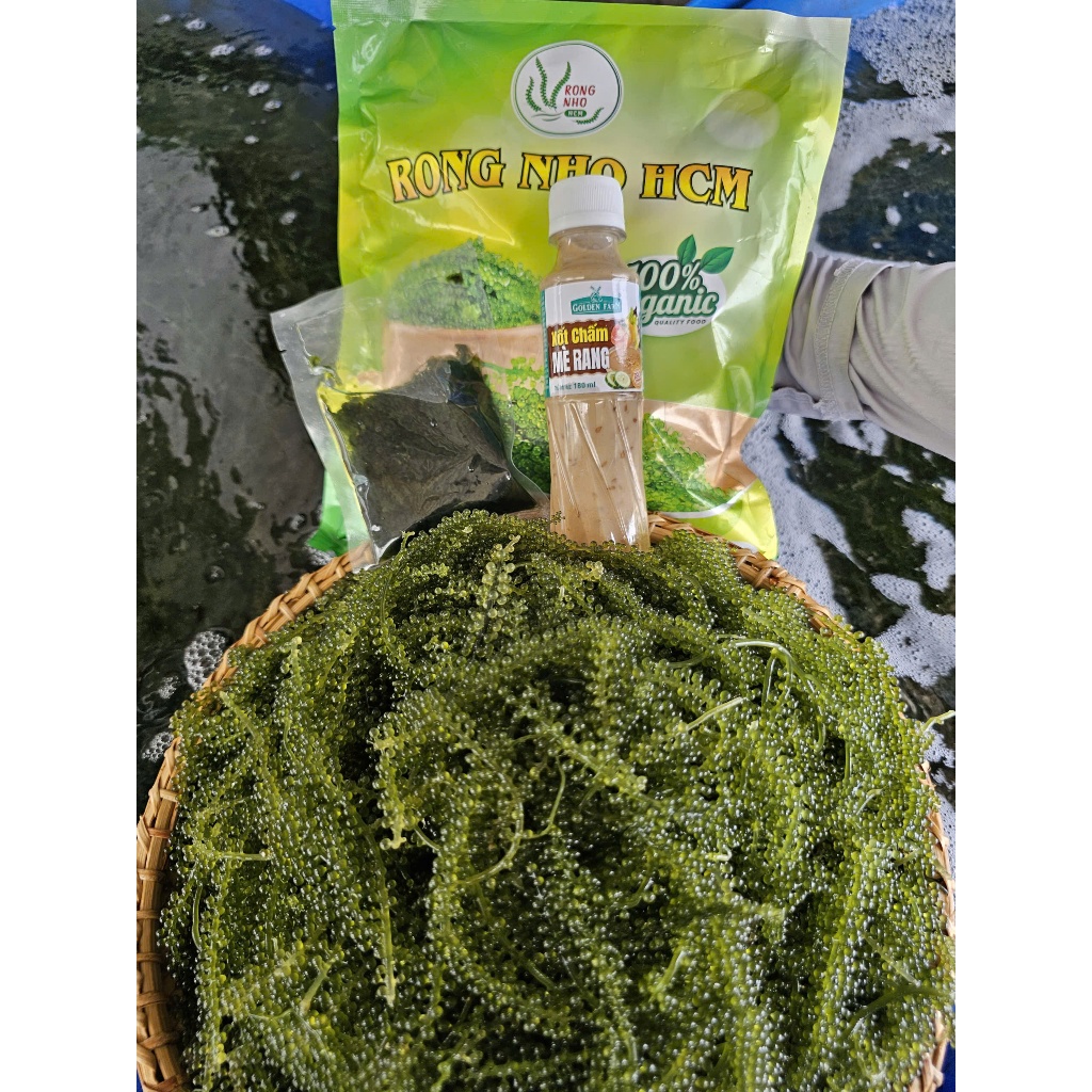 Rong nho tách nước -  Rong Nho HCM ( 1kg có 10 gói nhỏ 100gr )