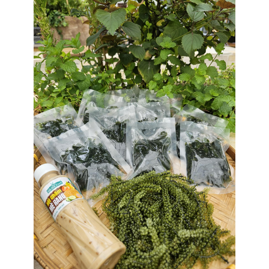 CHAI SỐT MÈ RANG GOLDEN FARM 180ml tiện lợi, châm, trộn salad
