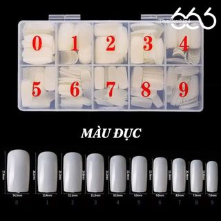 Set Tip Úp Móng Chân Form Lớn Full Cover 500pcs (0–9) – Tip Úp Gel Nhanh, Form Tự Nhiên Chuẩn Salon THEGIOINAIL666