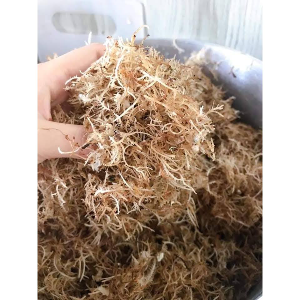 RONG XU XOA ( RONG ĐÔNG LÝ SƠN)- ĐẶC SẢN QUẢNG NGÃI LÝ SƠN