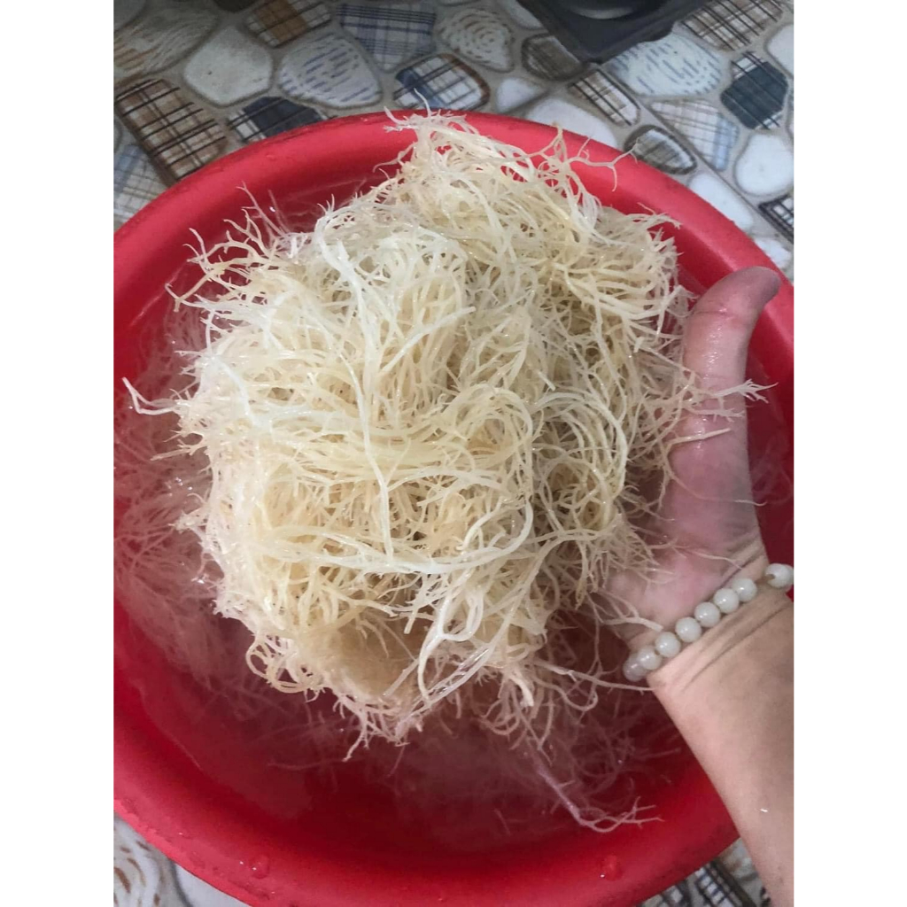 Rong Chỉ Vàng Khô nấu xu xoa , nấu chè , trộn gỏi đặc sản Lý Sơn 200gr/500gr/1kg