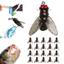 Combo Hộp 10 Mồi Câu Hình Ruồi Silicon Siêu Nhạy Cao Cấp, Mồi Câu Mô Phỏng Ruồi Cao Cấp Panfish