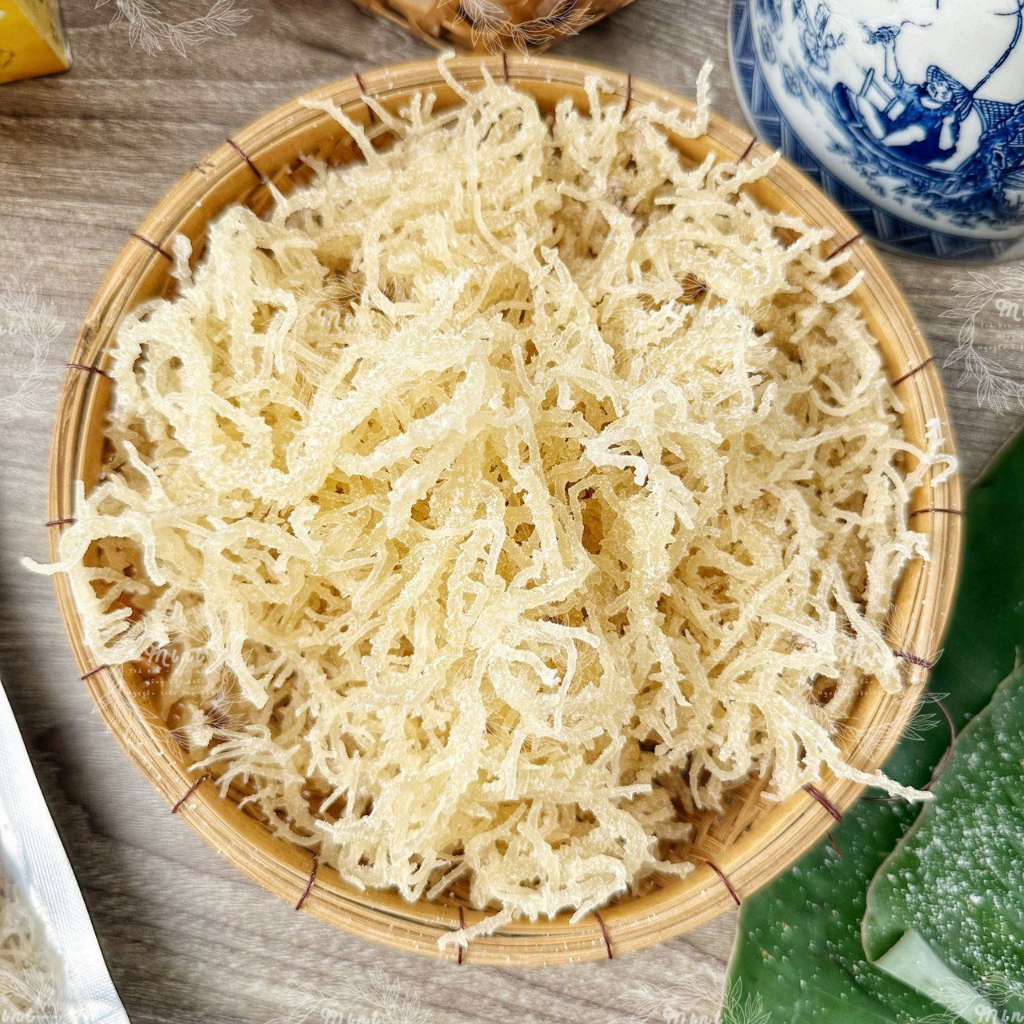 Rong sụn làm gỏi, nộm, nấu chè - Rong sụn trắng - Rong sụn gai biển