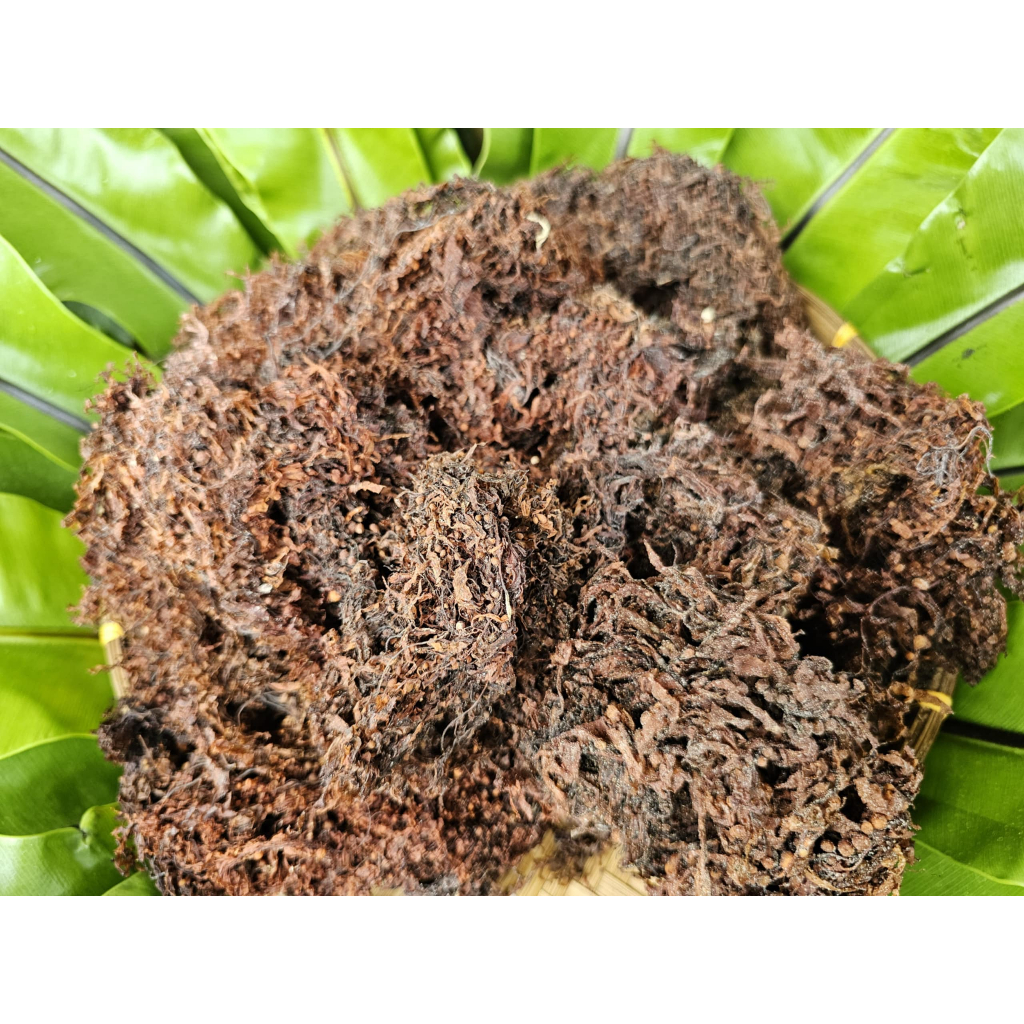 Rong Biển Nấu Nước Sâm Nước Mát (Rong Mơ nấu nước sâm)