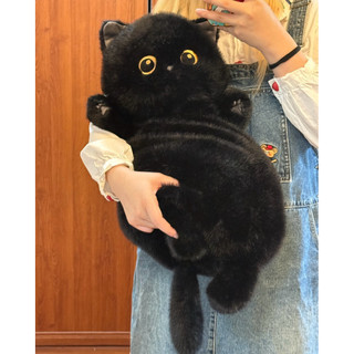 Gấu Thú Bông Gối Ôm Ngủ Dài Animal Hình Mèo Tam Thể Mun Xám Quà Tặng Độc Đáo Lông Siêu Mềm Mịn Siêu Dễ Thương
