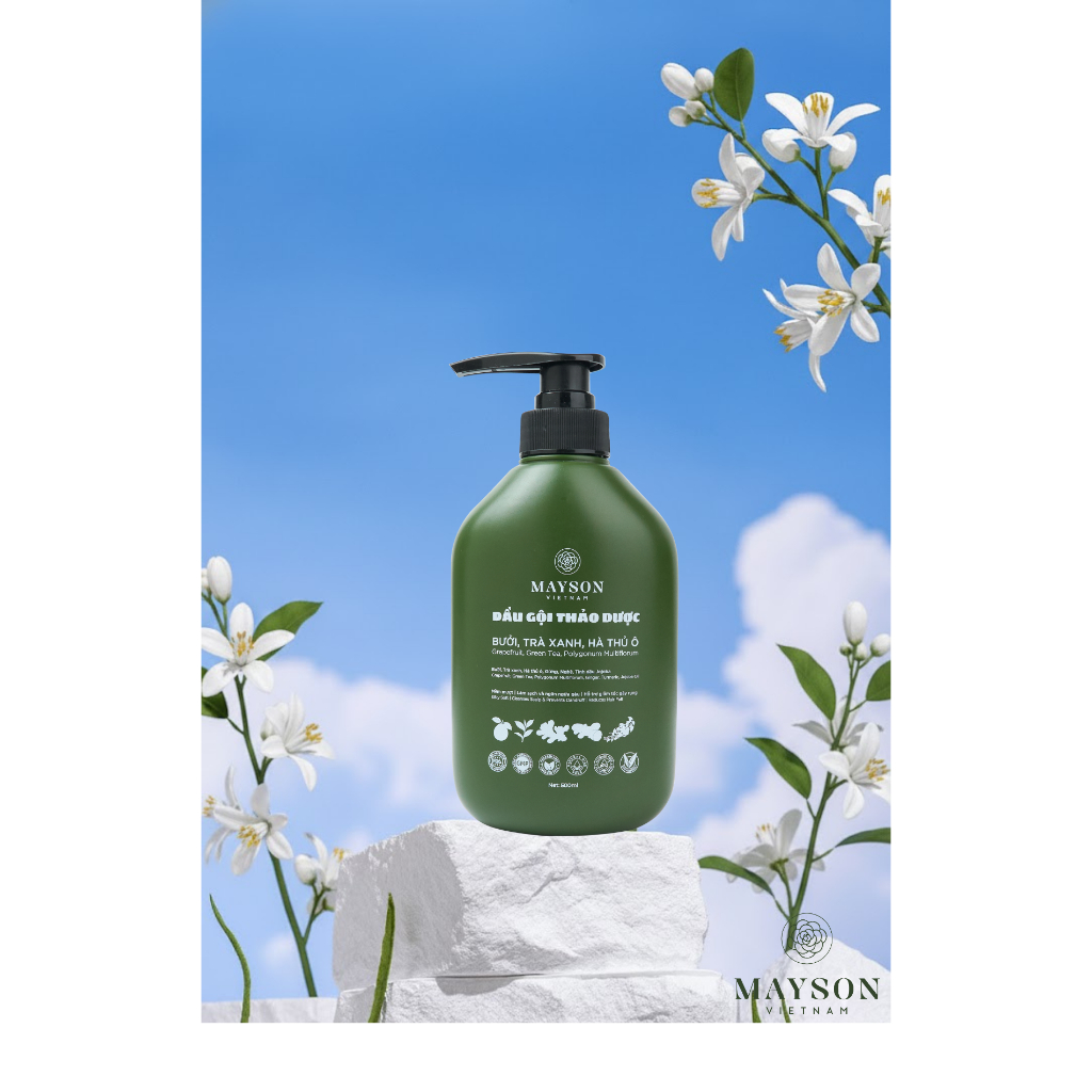 Dầu gội thảo dược Bưởi - Trà xanh - Hà Thủ ô - Gừng - Nghệ MaySon