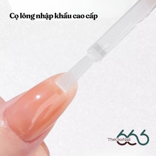 Sơn Gel BASE Liên Kết – Gel CỨNG MÓNG - TOP Bóng 20ml Size Lớn | Base Top Hoa Hồng - Youth Rose Chính Hãng Nail666