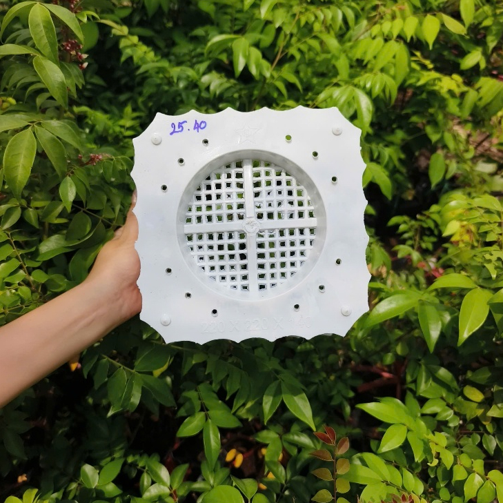 Chậu khía vuông 2 tấc  – Chậu cây nhỏ gọn, form vuông chắc chắn, dễ trồng cây
