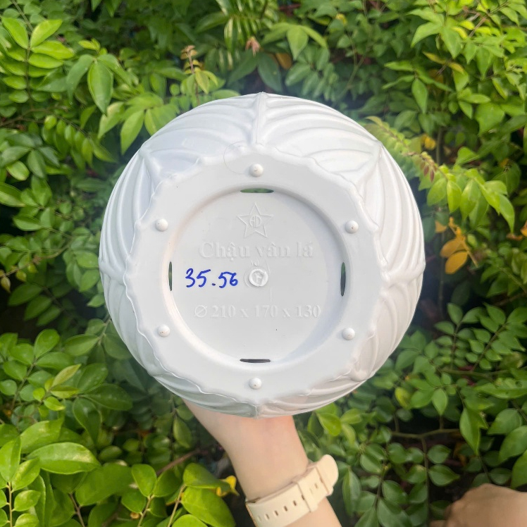 Chậu Vân Lá Nhựa Cao Cấp – Chậu Trồng Cây Trang Trí Ban Công, Sân Vườn, Quán Cafe Đẹp Hiện Đại