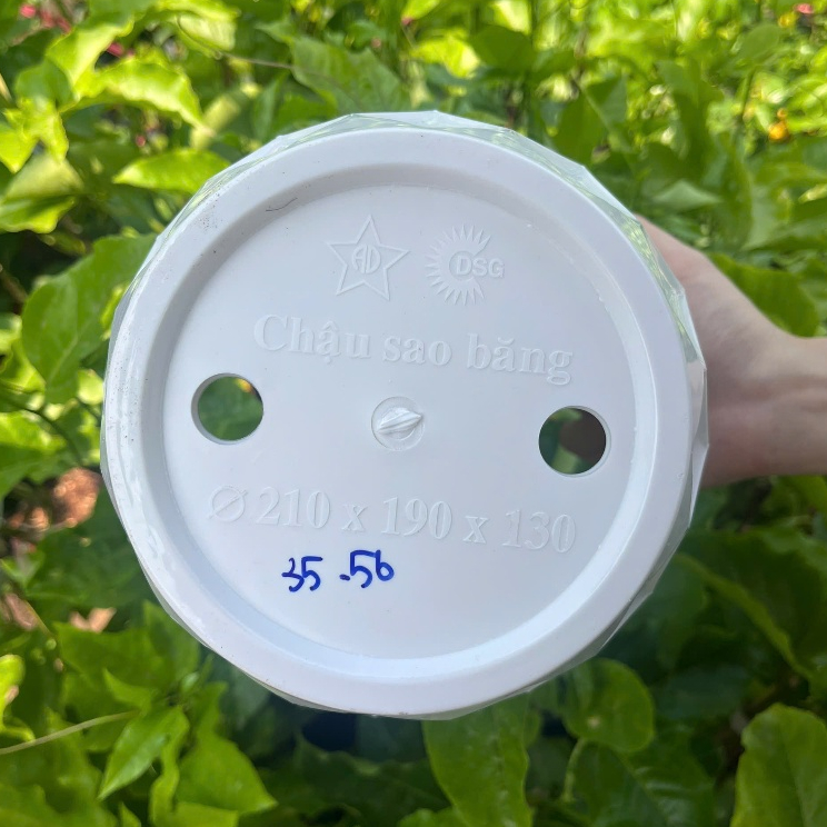 Chậu Nhựa Sao Băng Nhựa Cao Cấp Kimbiofarn – Chậu Trồng Cây Ban Công, Sân Vườn 21xH19x13cm