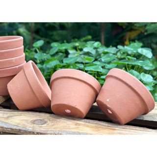 (Combo 3-5) - Chậu Đất Nung Thao - Trồng Xương Rồng , Sen Đá, Cây Cảnh... Có Nhiều Size Trang Trí Nhà Cửa Chịu Lực Tốt