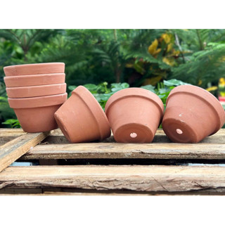 (Combo 3-5) - Chậu Đất Nung Thao - Trồng Xương Rồng , Sen Đá, Cây Cảnh... Có Nhiều Size Trang Trí Nhà Cửa Chịu Lực Tốt