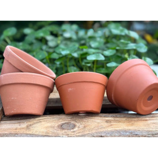 (Combo 3-5) - Chậu Đất Nung Thao - Trồng Xương Rồng , Sen Đá, Cây Cảnh... Có Nhiều Size Trang Trí Nhà Cửa Chịu Lực Tốt