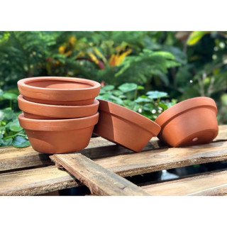 (Combo 3-5) - Chậu Đất Nung Thao - Trồng Xương Rồng , Sen Đá, Cây Cảnh... Có Nhiều Size Trang Trí Nhà Cửa Chịu Lực Tốt