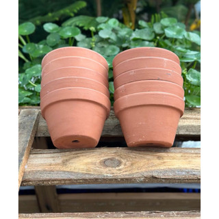(Combo 3-5) - Chậu Đất Nung Thao - Trồng Xương Rồng , Sen Đá, Cây Cảnh... Có Nhiều Size Trang Trí Nhà Cửa Chịu Lực Tốt
