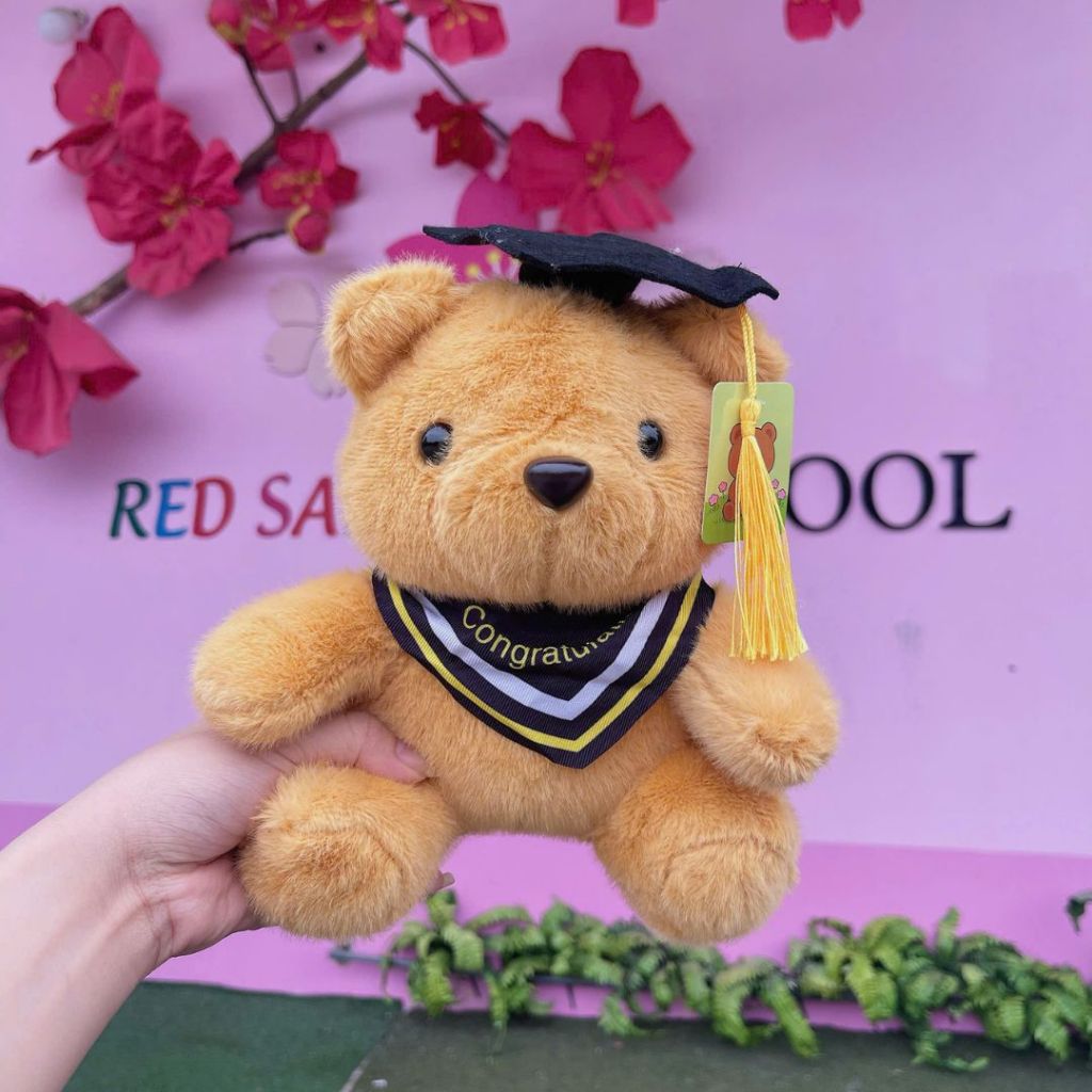 Gấu Bông Tốt Nghiệp Teddy Dễ Thương, Gấu Cử Nhân 25Cm Quà Tặng Kỷ Yếu Ý Nghĩa Cho Bạn Bè,Người Thân