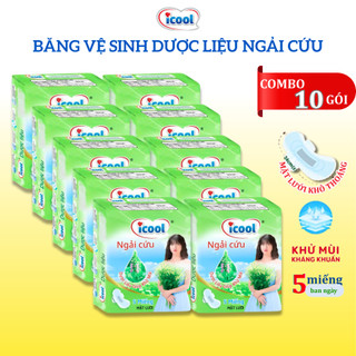 Băng Vệ Sinh icool Dược Liệu Ngải Cứu 5 Miếng BVS Ban Ngày 24cm Có Cánh Mặt Lưới Siêu Thấm Không Mát