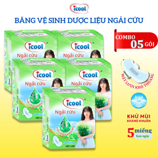 Băng Vệ Sinh icool Dược Liệu Ngải Cứu 5 Miếng BVS Ban Ngày 24cm Có Cánh Mặt Lưới Siêu Thấm Không Mát