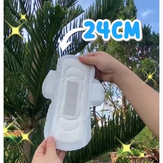 Băng Vệ Sinh icool Dược Liệu Ngải Cứu 5 Miếng BVS Ban Ngày 24cm Có Cánh Mặt Lưới Siêu Thấm Không Mát
