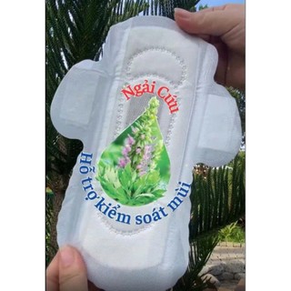 Băng Vệ Sinh icool Dược Liệu Ngải Cứu 5 Miếng BVS Ban Ngày 24cm Có Cánh Mặt Lưới Siêu Thấm Không Mát
