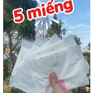 Băng Vệ Sinh icool Dược Liệu Ngải Cứu 5 Miếng BVS Ban Ngày 24cm Có Cánh Mặt Lưới Siêu Thấm Không Mát