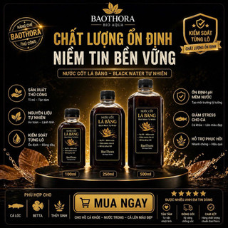 Nước Cốt Lá Bàng Black Water Cho Cá | Hạ PH Giảm Stress Cá Betta Cá Lóc Thủy Sinh | BaoThora Aqua