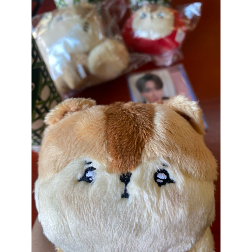 sticker dán móng in hình đặt trước
