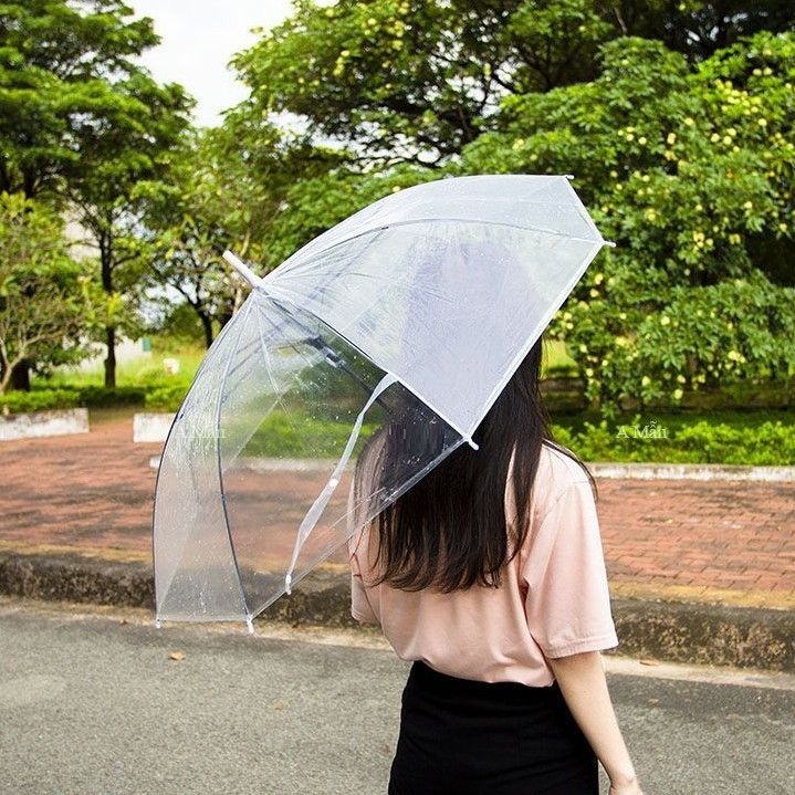Combo 5 Ô Trong Suốt đi Mưa Gấp Gọn