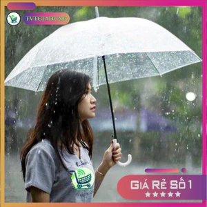 Combo 5 Ô Trong Suốt đi Mưa Gấp Gọn