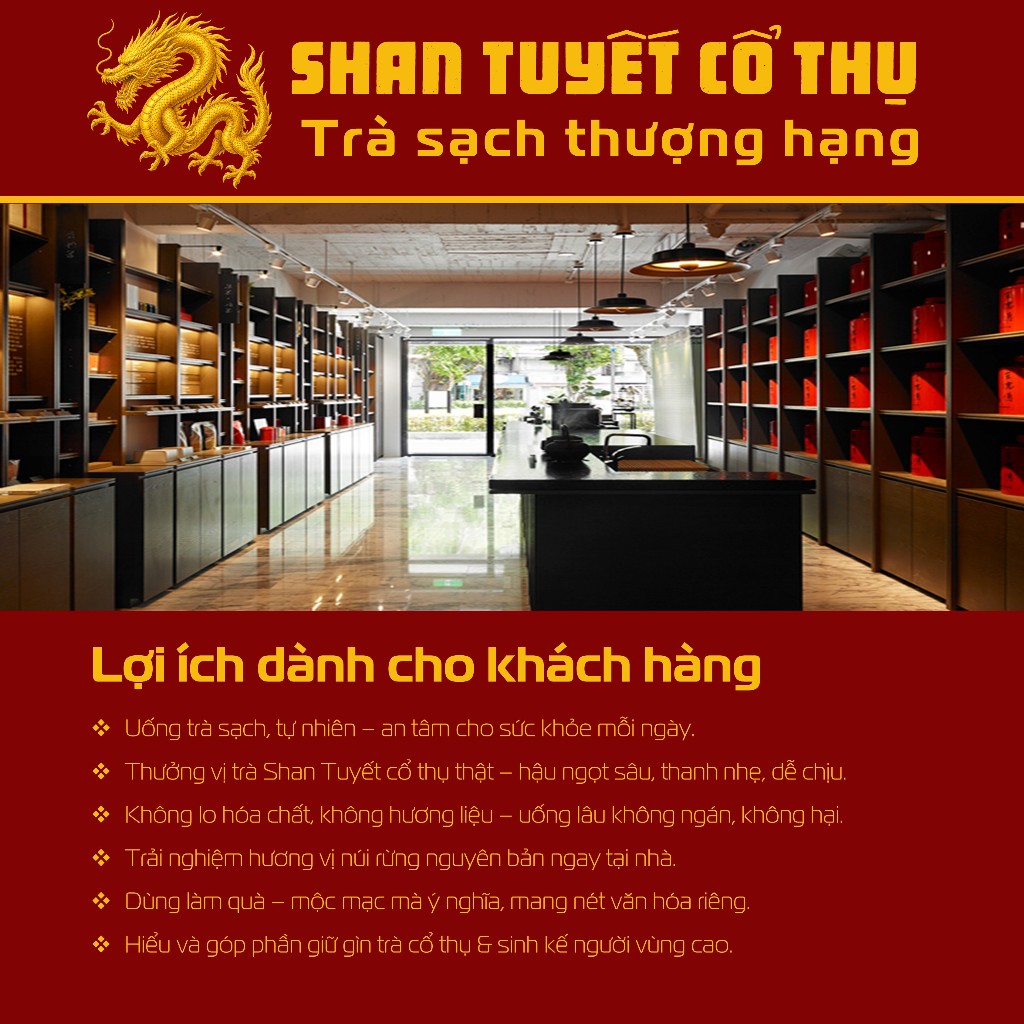 COMBO TRÀ SHAN TUYẾT CỔ THỤ 3 LỤC – 1 BẠCH – 1 HỒNG | TRÀ SẠCH THỦ CÔNG NGUYÊN CHẤT