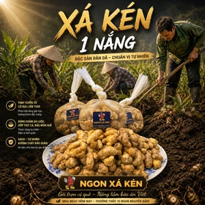 Củ xá kén, địa liền 1 nắng hương vị, gia vị của gia đình.