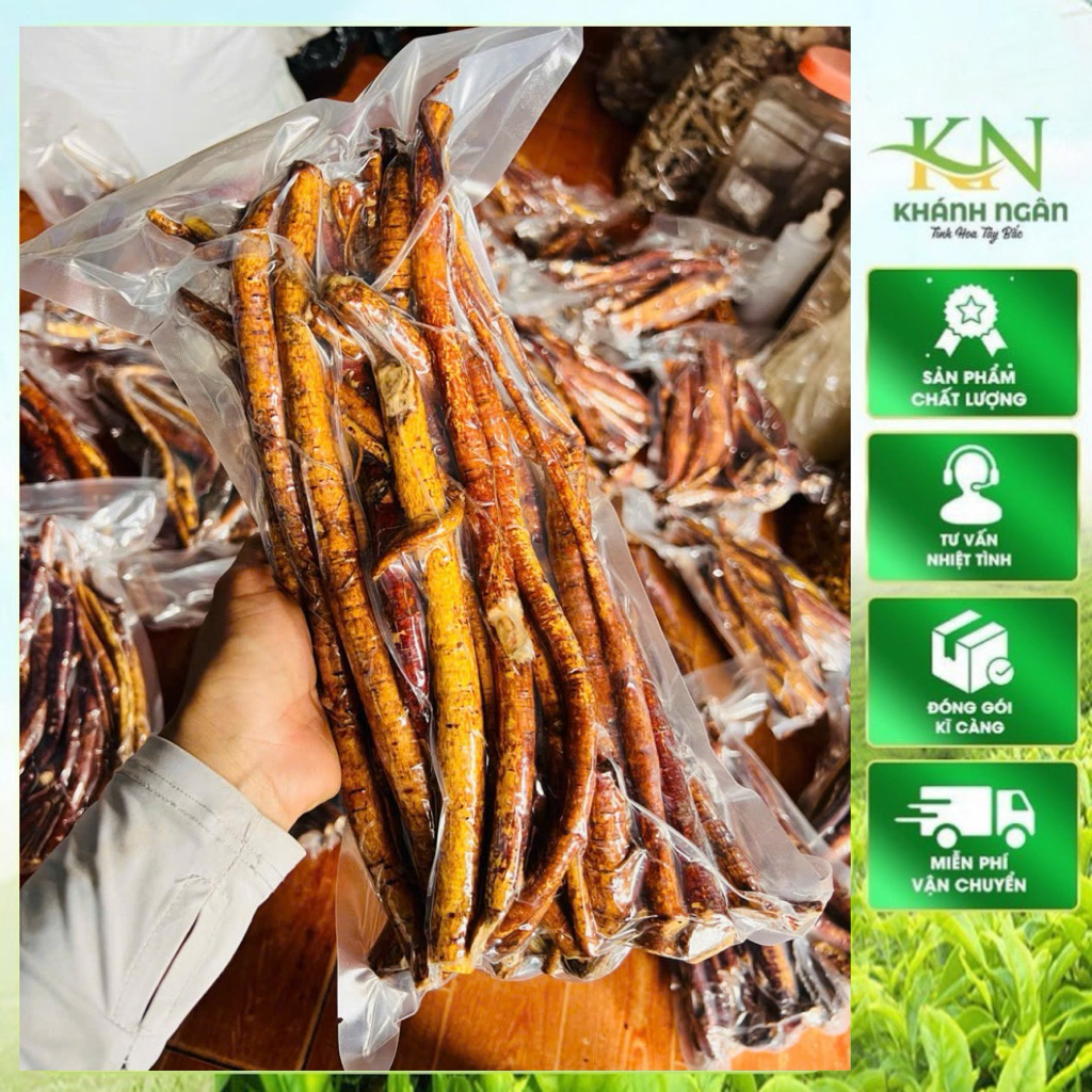 Rễ Hoàng Kỳ Nam Tươi 1kg – Hàng Mới Đào, Đã Rửa Sạch, Loại Đẹp, Thơm Tự Nhiên Tây Bắc 1kg