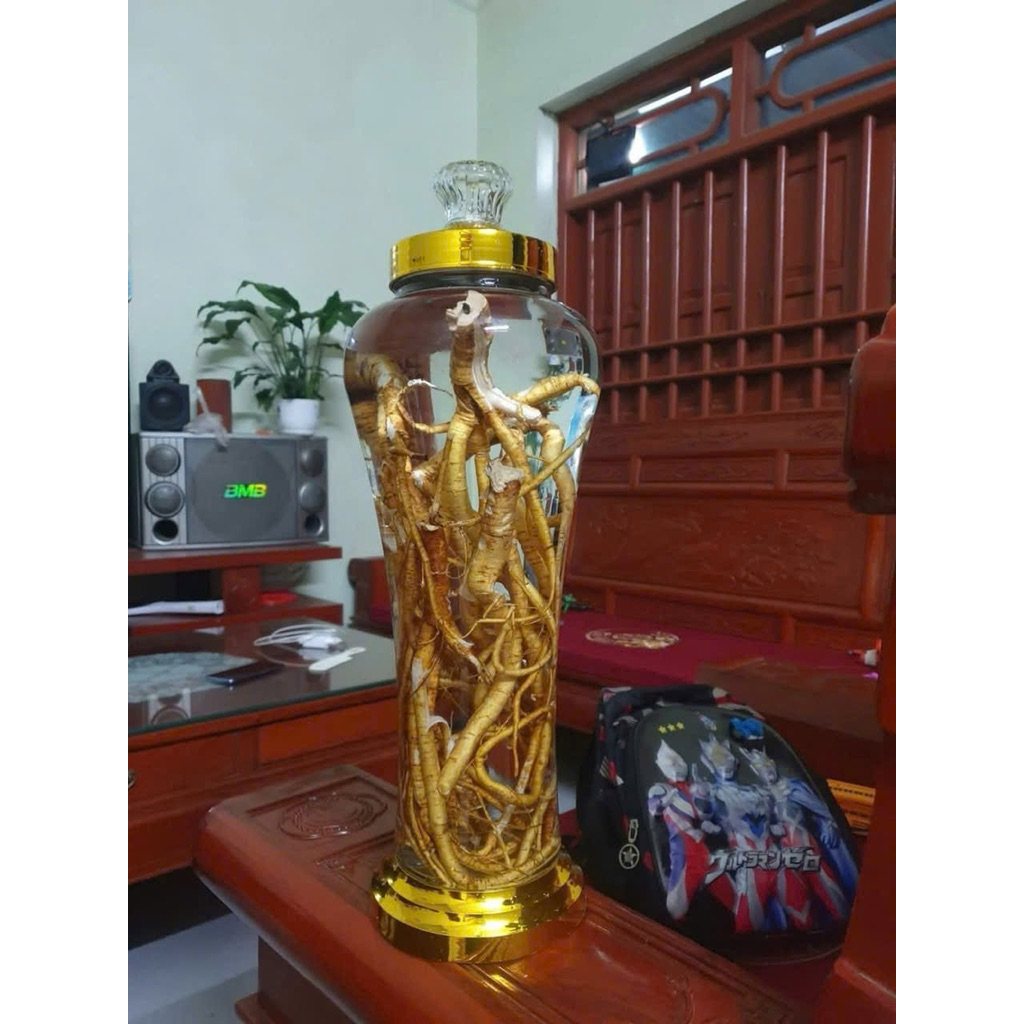 Rễ Hoàng Kỳ Nam Tươi 1kg – Hàng Mới Đào, Đã Rửa Sạch, Loại Đẹp, Thơm Tự Nhiên Tây Bắc 1kg