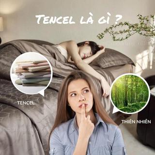 Bộ ga giường và vỏ gối Tencel 60s HELINA - bộ gồm 1 ga giường và 2 vỏ gối nằm, mềm, mịn, mát - 3 món