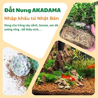 Đất Nhật Akadama , Nhập khẩu chính ngạch VINABONSAI - Giá Thể Bonsai, Kiểng Lá, Sen Đá, Phân Nền Thủy Sinh