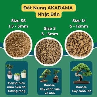 Đất Nhật Akadama , Nhập khẩu chính ngạch VINABONSAI - Giá Thể Bonsai, Kiểng Lá, Sen Đá, Phân Nền Thủy Sinh