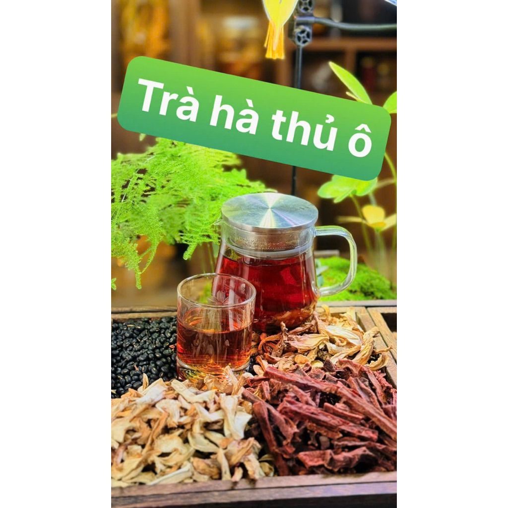 Trà Hà Thủ Ô Pờ Ma Lung – Combo 4 Vị Thảo Mộc Tây Bắc, Dạng Túi Tiện Lợi, Hương Thơm Dễ Uống
