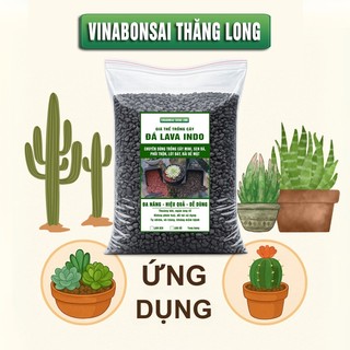 Đá Nham Thạch Lava Đen, Giá Thể Cho Thủy Sinh, Bonsai, Xương Rồng, Sạch tạp chất