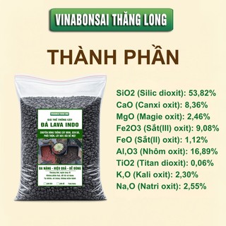 Đá Nham Thạch Lava Đen, Giá Thể Cho Thủy Sinh, Bonsai, Xương Rồng, Sạch tạp chất