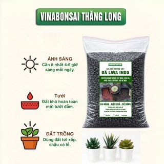 Đá Nham Thạch Lava Đen, Giá Thể Cho Thủy Sinh, Bonsai, Xương Rồng, Sạch tạp chất