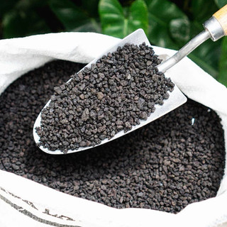Đá Nham Thạch Lava Đen, Giá Thể Cho Thủy Sinh, Bonsai, Xương Rồng, Sạch tạp chất