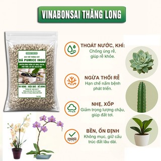Đá bọt PUMICE- Vinabonsai,  Đất Trồng Sen Đá, Giá Thể Trồng Cây, Lót Chậu, Nhiều Khoáng Chất